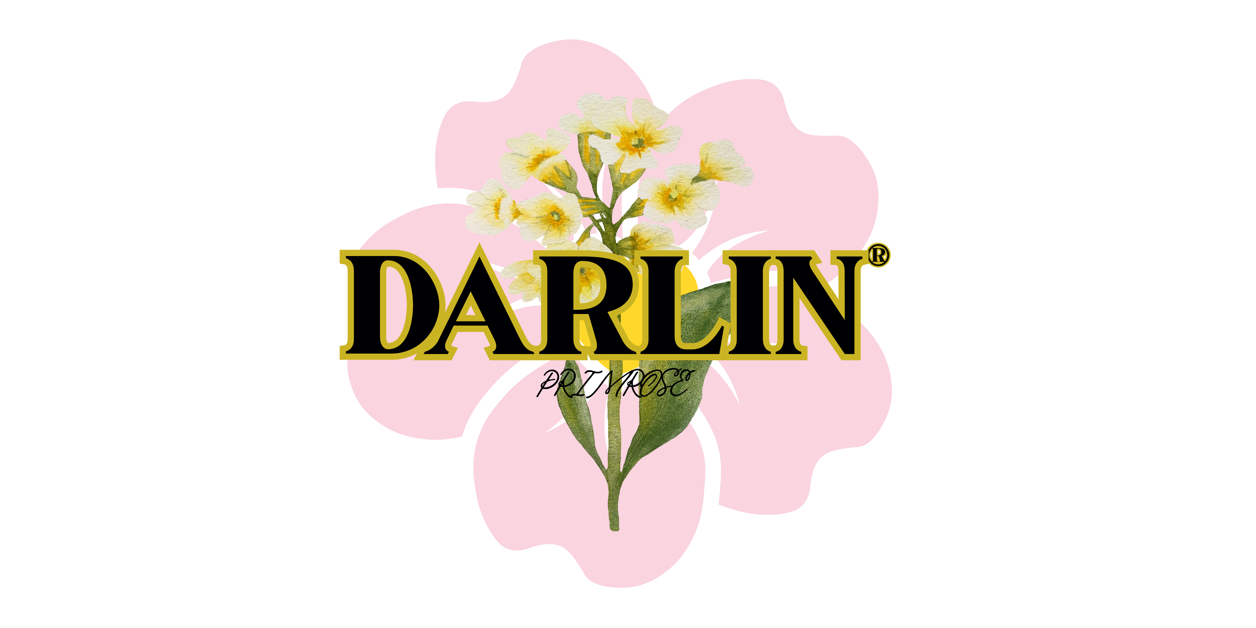 Darlin Primrose