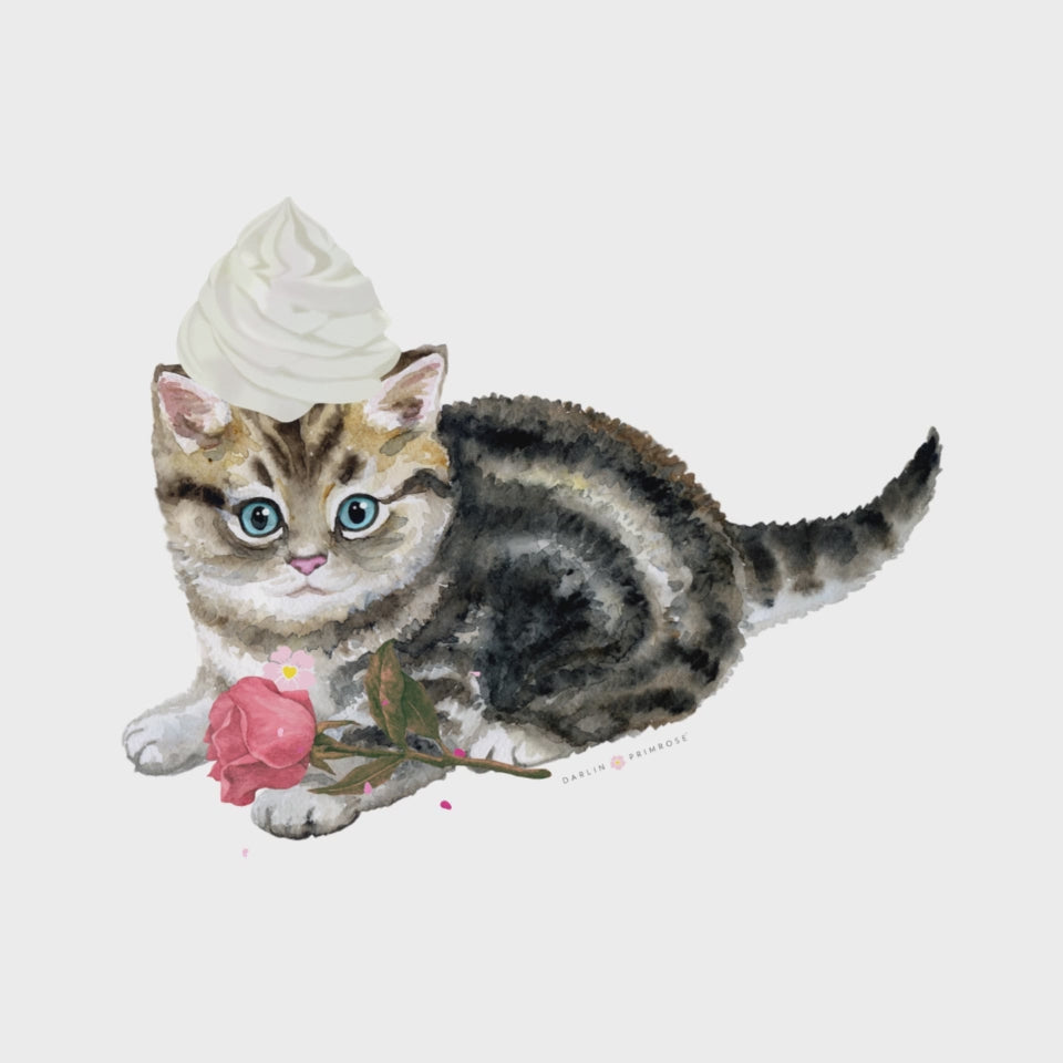 Whipped Cream on Kitten W Pink Rose- Woman's Softstyle Tee VIDEO- Darlin Primrose™