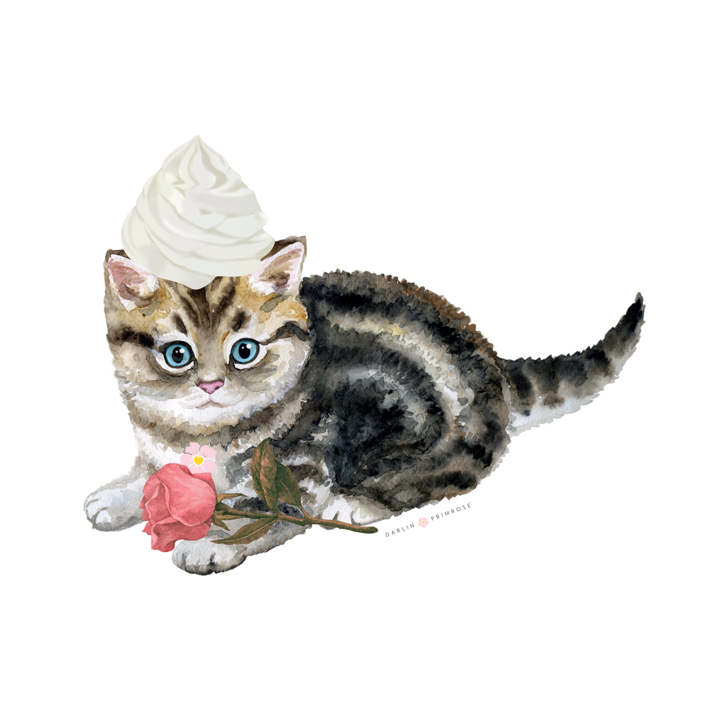 Whipped Cream on Kitten W Pink Rose- Woman's Softstyle Tee- Darlin Primrose™